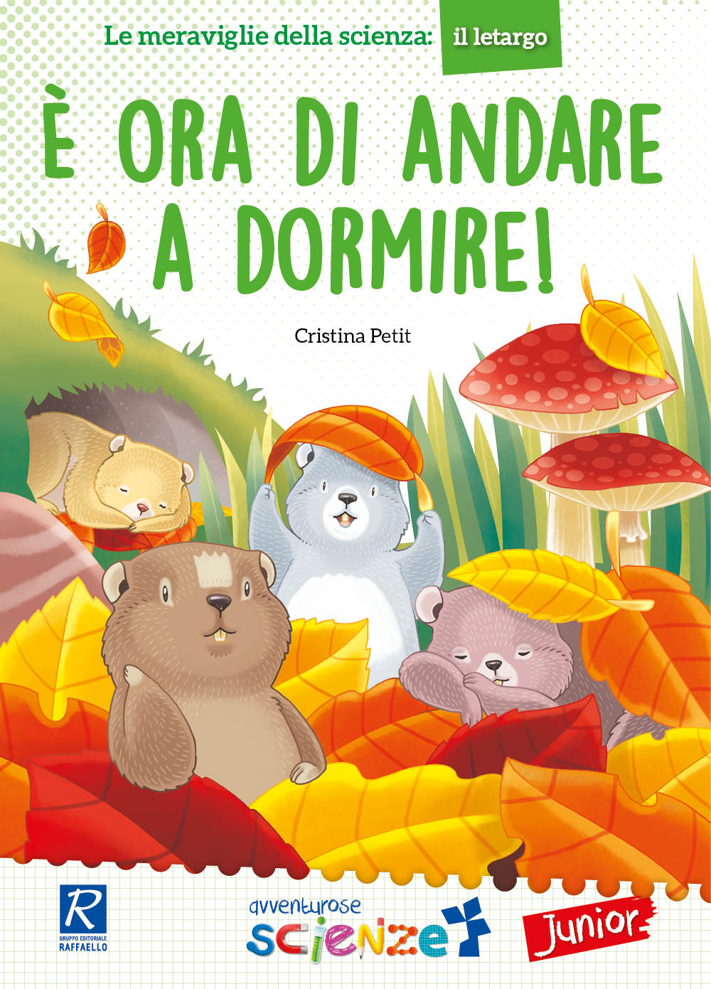 E' ORA DI ANDARE A DORMIRE  Raffaello Libri