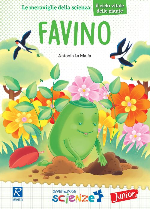 FAVINO Raffaello Libri